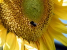 004_p8100079