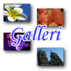 Galleri-ikon